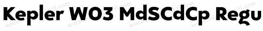 Kepler W03 MdSCdCp Regular字体转换